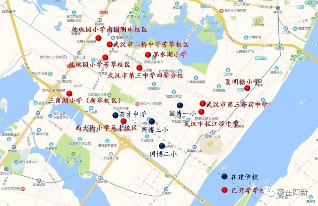 武汉四新宜居楼盘,四新最好的地段