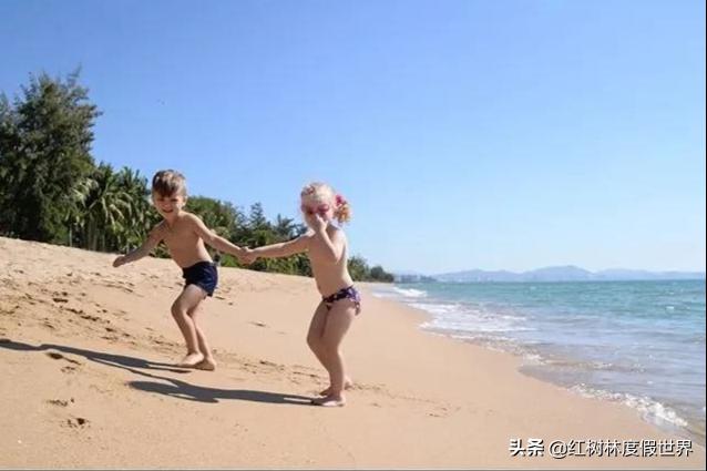 逃离北方的寒冷,逃离北方森林