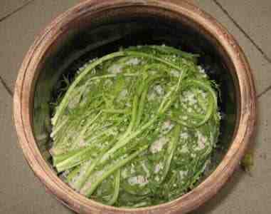 雪里蕻腌菜做法大全,雪里蕻做腌菜什么时候做最好