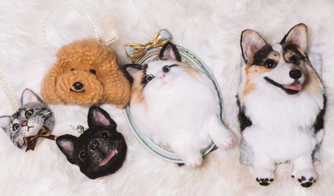 Pick到一家宝藏「宠物写真馆」!福利已谈好,铲屎官快冲鸭