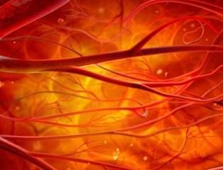 为什么女性更年期会消瘦,更年期为什么坚持锻炼还是要长胖