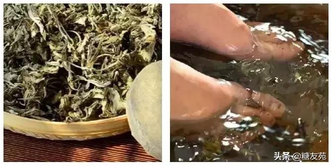 足部按摩师,足部按摩仪送老人