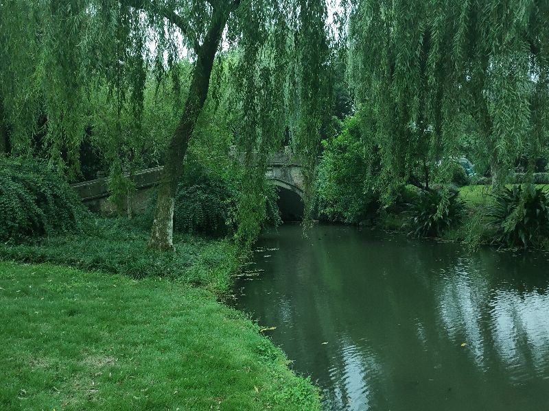 杭州西湖断桥好大的雨,杭州西湖断桥残雪夜景下雨
