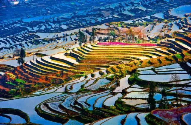 西双版纳风景之旅自由行旅游攻略,邂逅雨林西双版纳秘境之旅