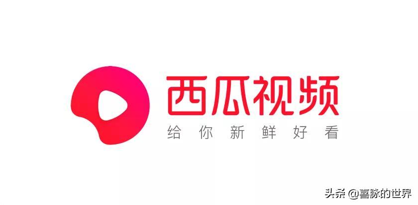 一份极为主观的国内常见内容创作平台体验报告