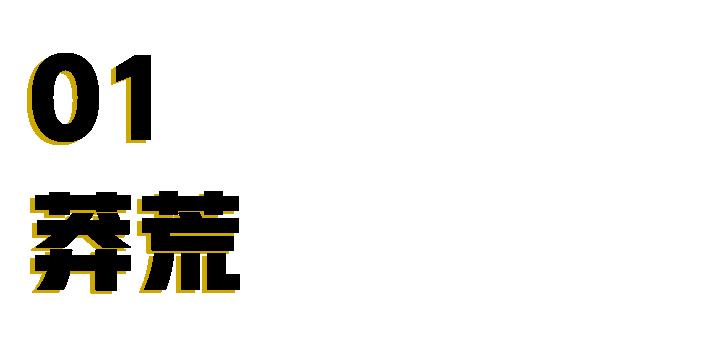 网红阿沁早期照片,刘阳回应阿沁出轨