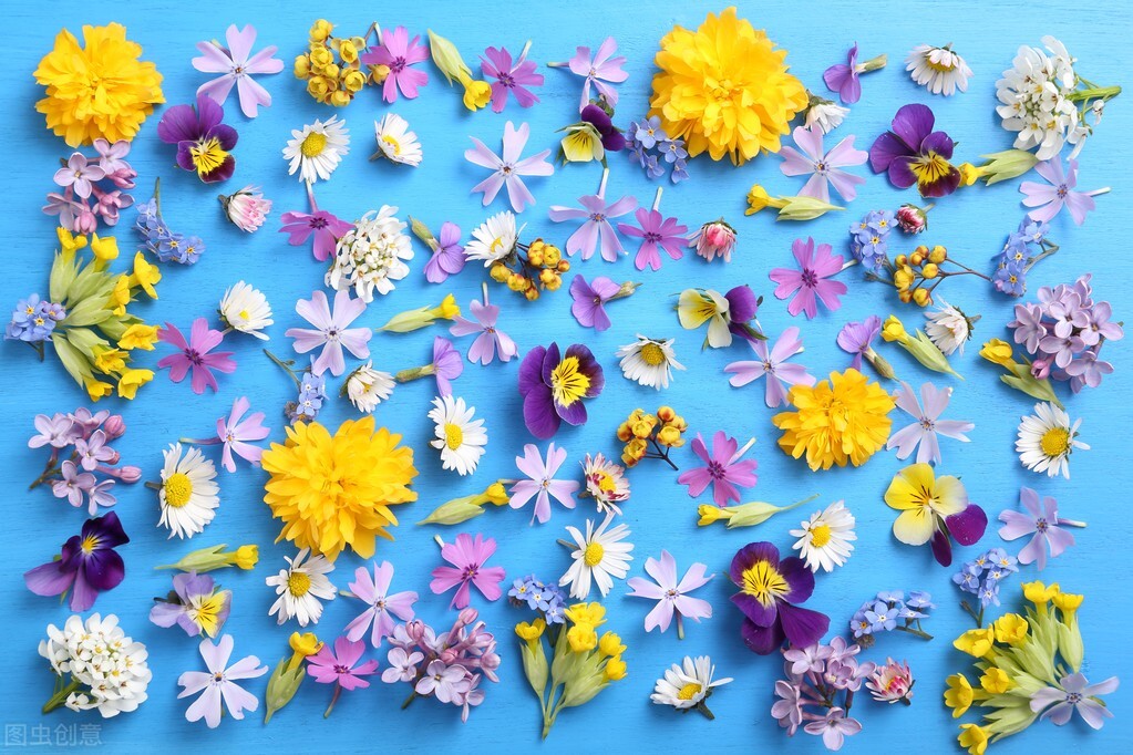 洁美科技深度分析,洁美科技17年上市