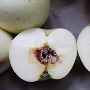 苹果树病虫害防治视频,苹果树病虫害全年防治大全