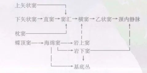 学习|颅脑静脉解剖及引流