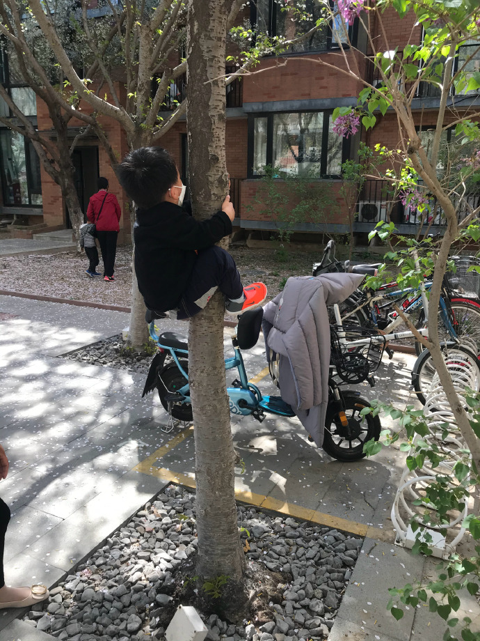 杨毅评价足球名记,体坛名记怒怼里皮完整版