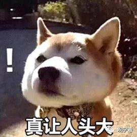 寒假去哪里放娃？在合肥，推荐来这里，真香