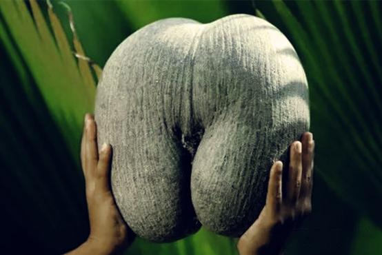 英国4至12岁孩子115个问题请115位大师解答！（系列二）