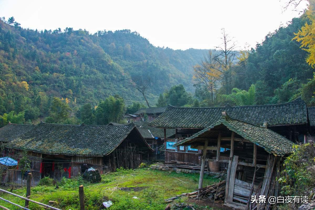 日本本土销量最好的纸尿裤,日本纸尿裤跌落神坛