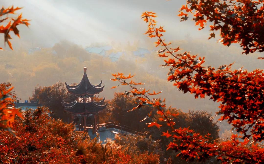 閲戠涓板彴璧忕帺鏀荤暐鍑虹倝,涓板彴閲戠鏂囧寲鏃呮父鏀荤暐