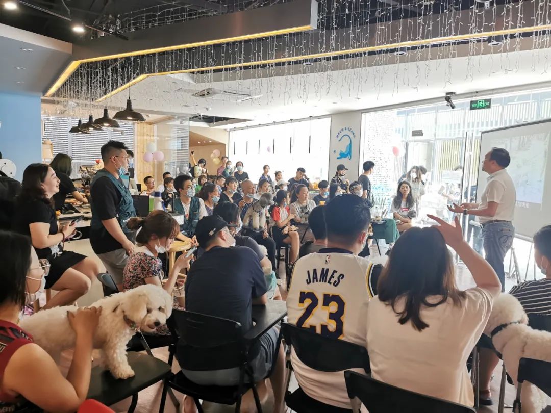 欢迎同行入内,这是一家为宠物店而开的宠物