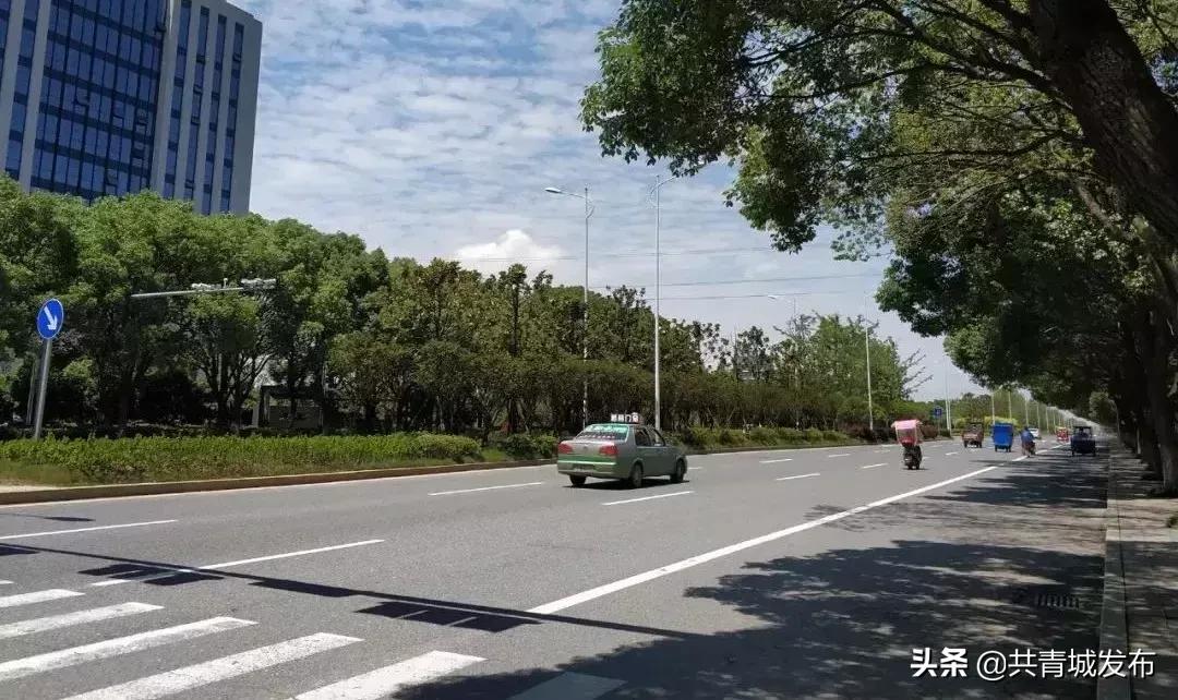 从a到z的成长,从a到z爱上茶的理由