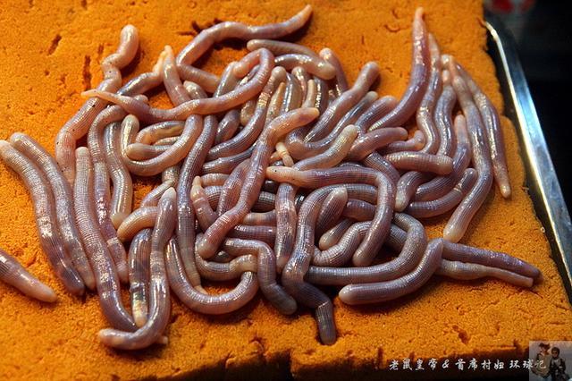 一条旅游路线打通欧亚,一条沿中国边界自驾游的路线