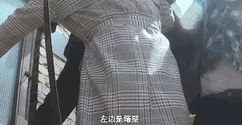 9.3分的悬疑新剧,9.5分以上悬疑剧最新