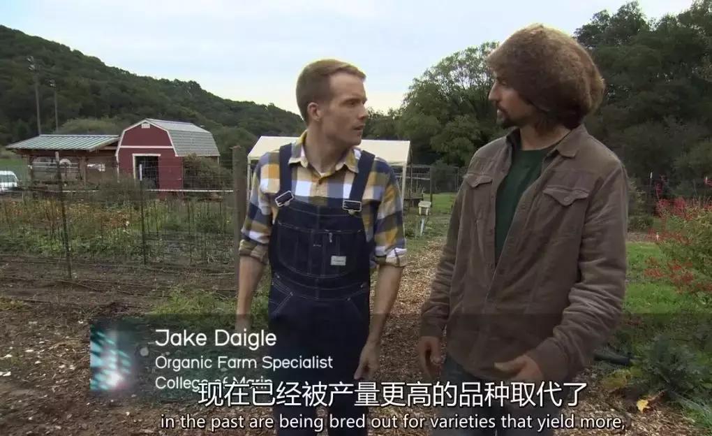 维生素抗癌成功案例,维生素与癌症的视频