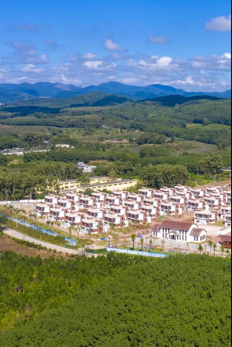 中国植树造林面积,中国植树造林成果国外有什么看法