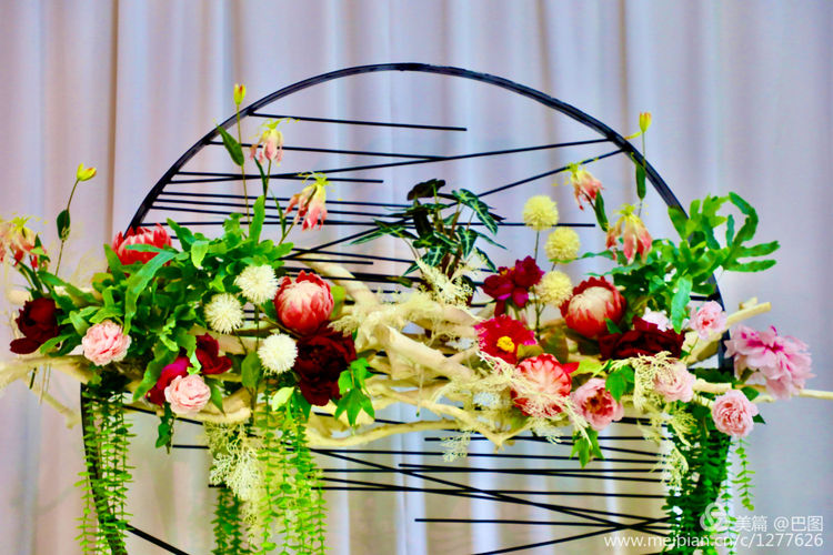 看洛阳牡丹花卉节,洛阳古都牡丹花展