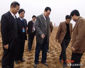 自建房地基基础怎么搞最好,建房如何建基础