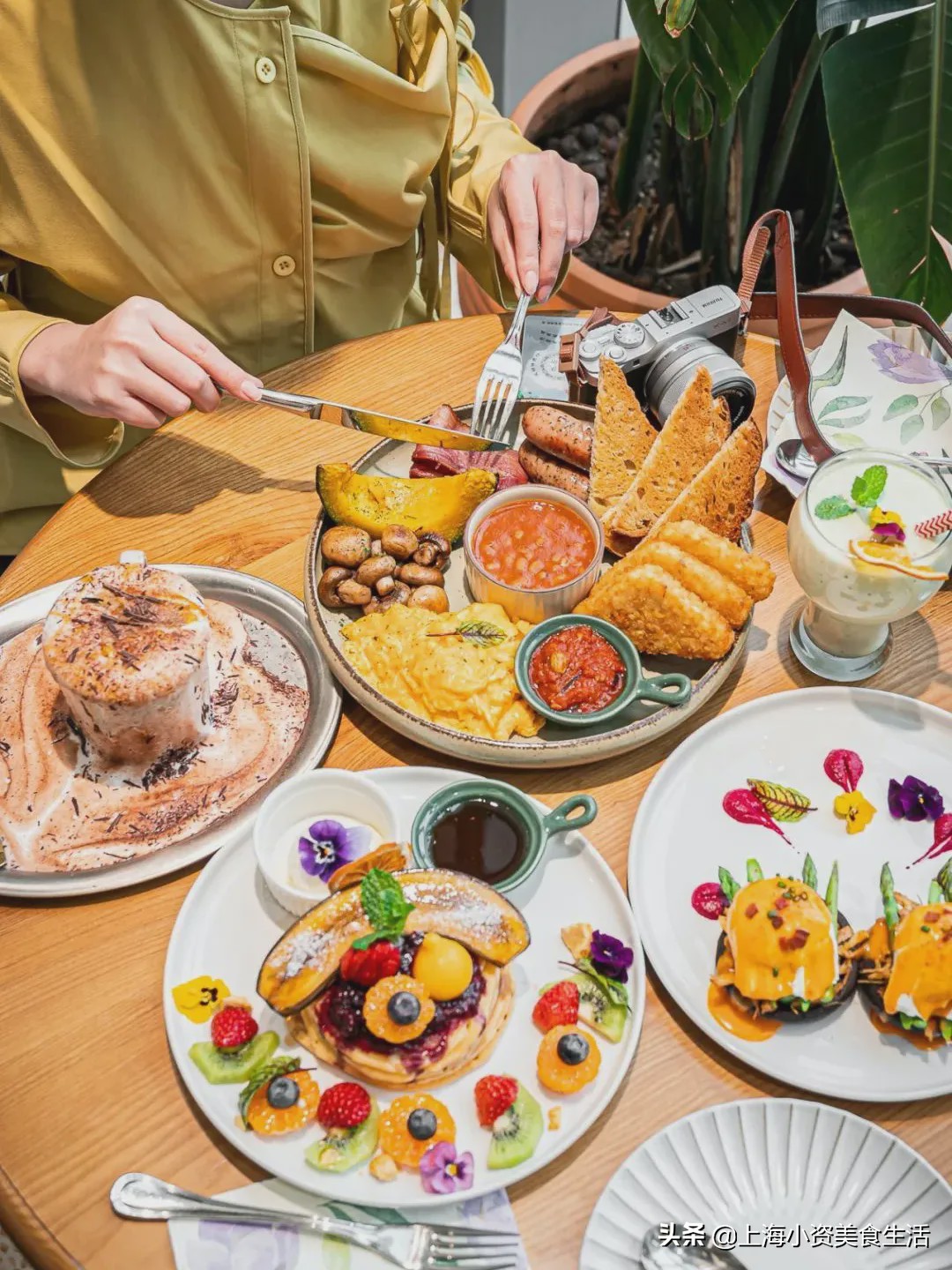 魔都brunch店,魔都最新露台早午餐全地图