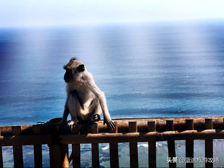 巴厘岛闺蜜游,闺蜜巴厘岛spa