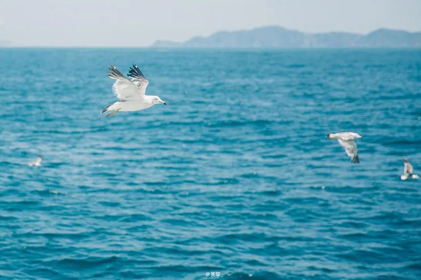 五一台州海岛,五一天气好的海岛推荐