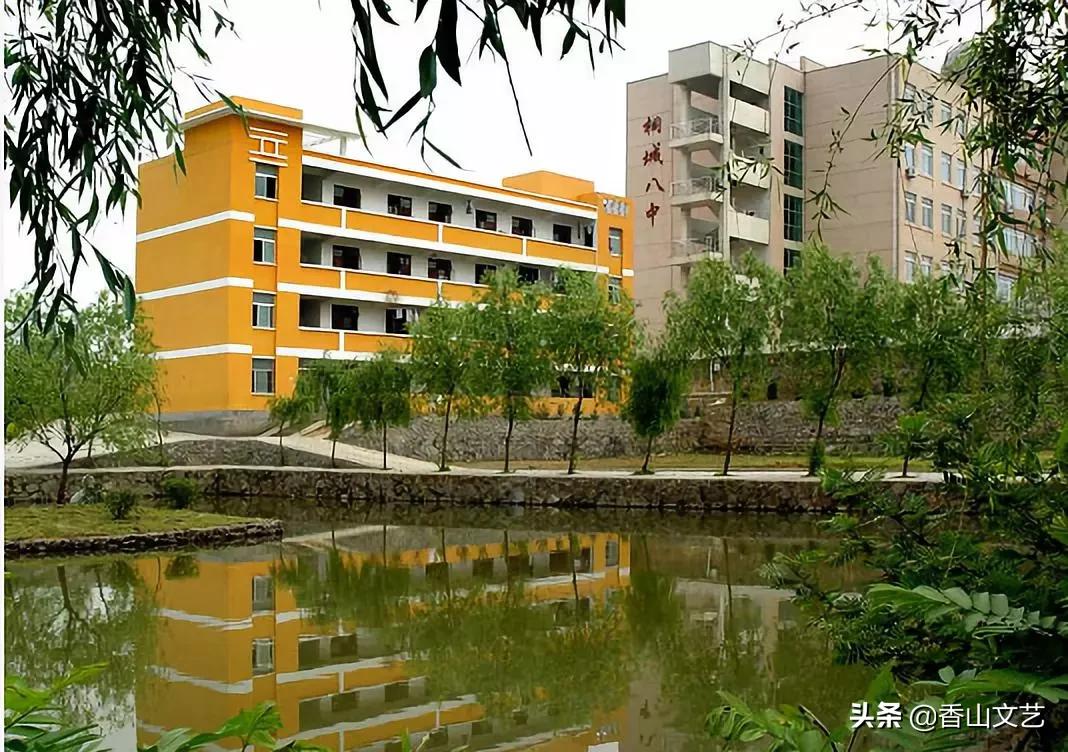 大关中学和朝晖中学,大关中学和文晖实验中学