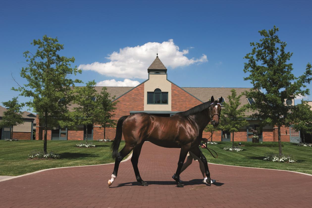 沙海行舟,现实中的霸道总裁,迪拜首富超乎常人想象的生活