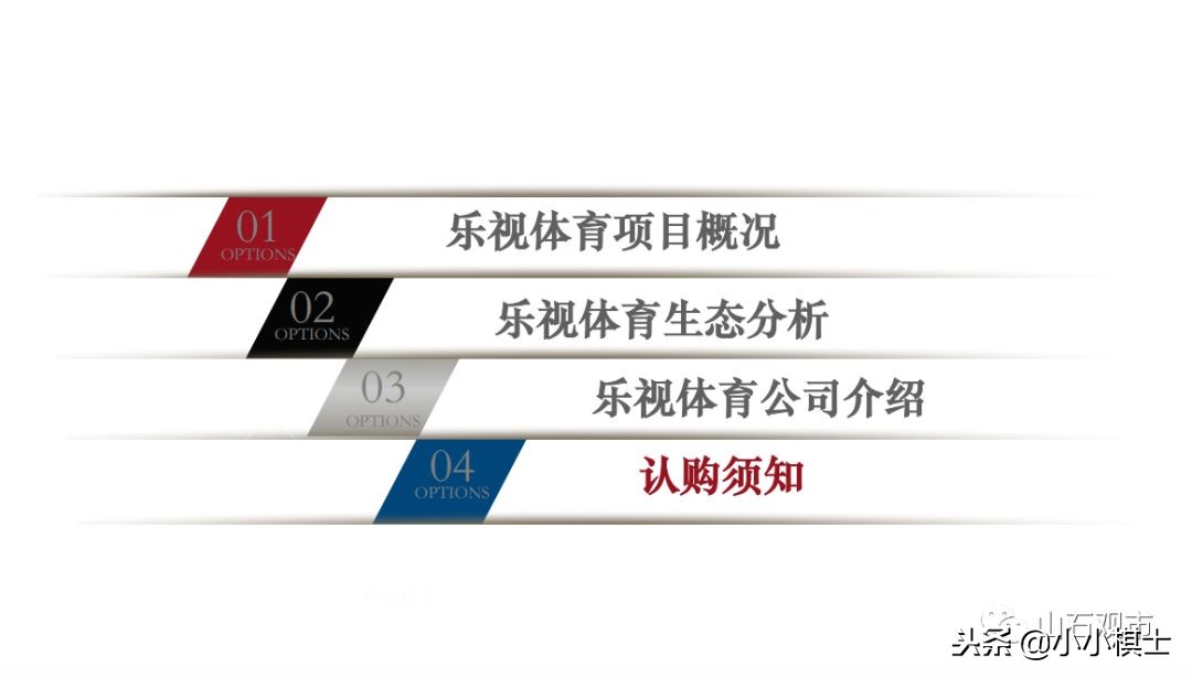 贾跃亭宣布公司启动2020年ipo规划,乐视贾跃亭关于融资说过的话