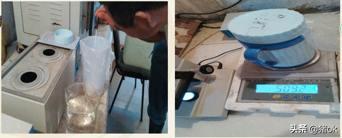 种公猪怎样养精子成活高,怎样提高种公猪的精子