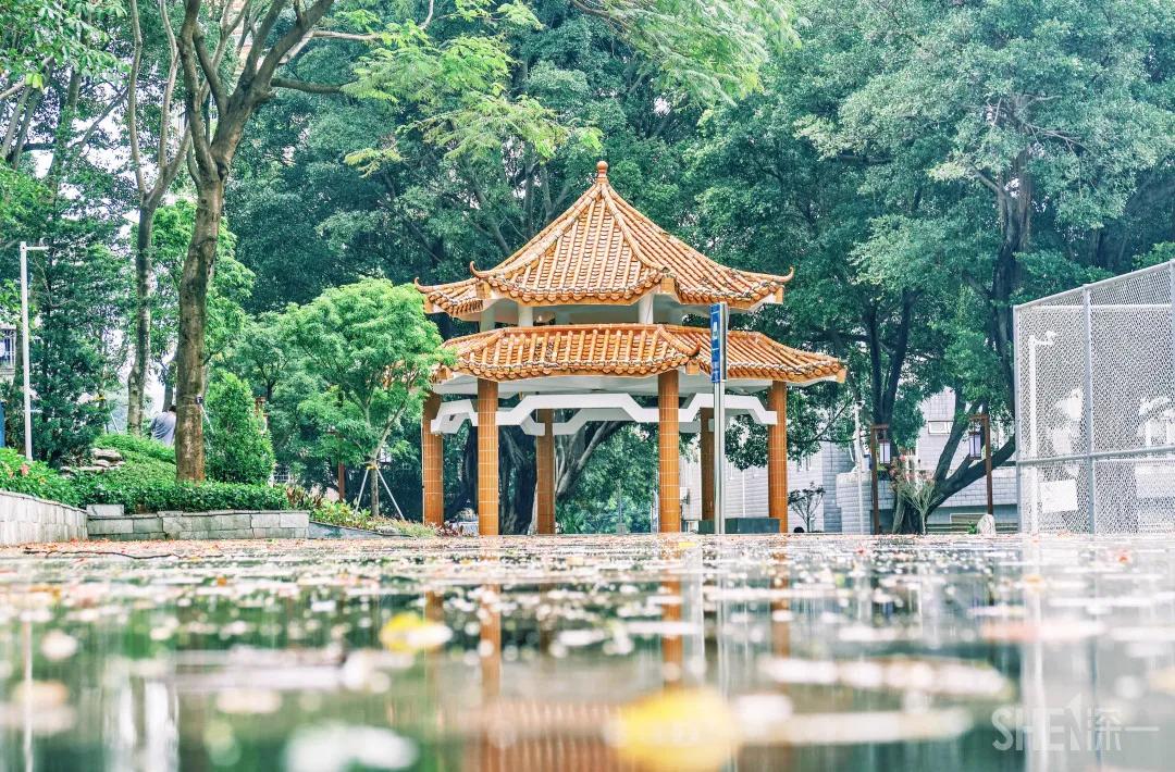 深圳八大绝美公园,山水公园深圳