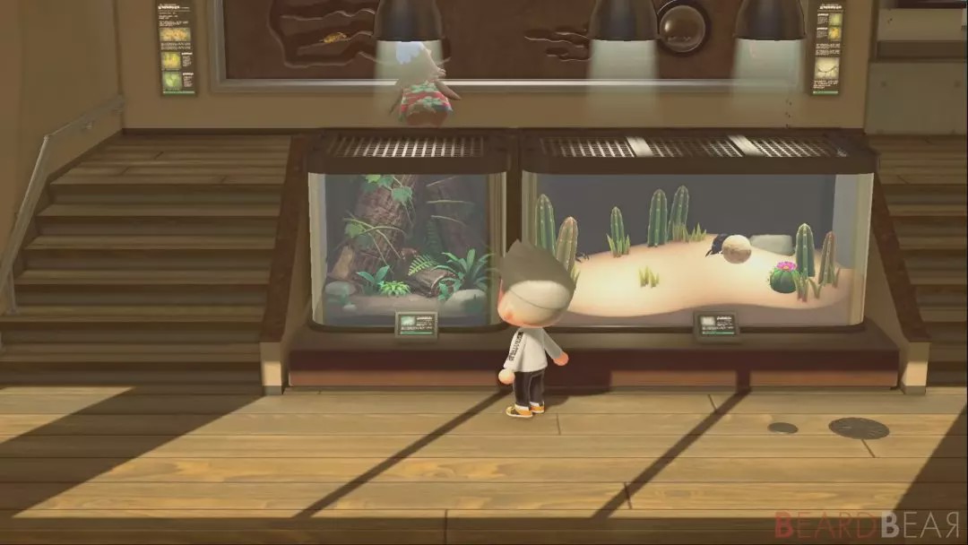 动森如何获得炊火,现在动森最新版本