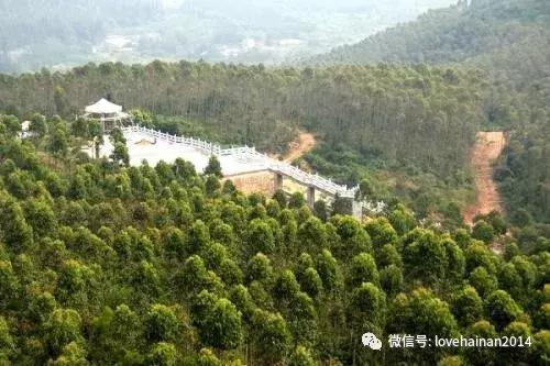 海南铺前海文大桥能过了吗,海口海文大桥最新通告