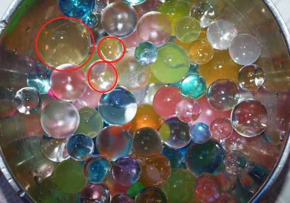 水宝宝到底有没有毒,水宝宝珠子有毒吗