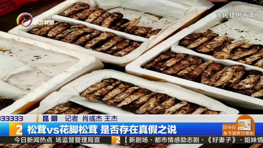 买到假虫草怎么检测,西藏买到假松茸