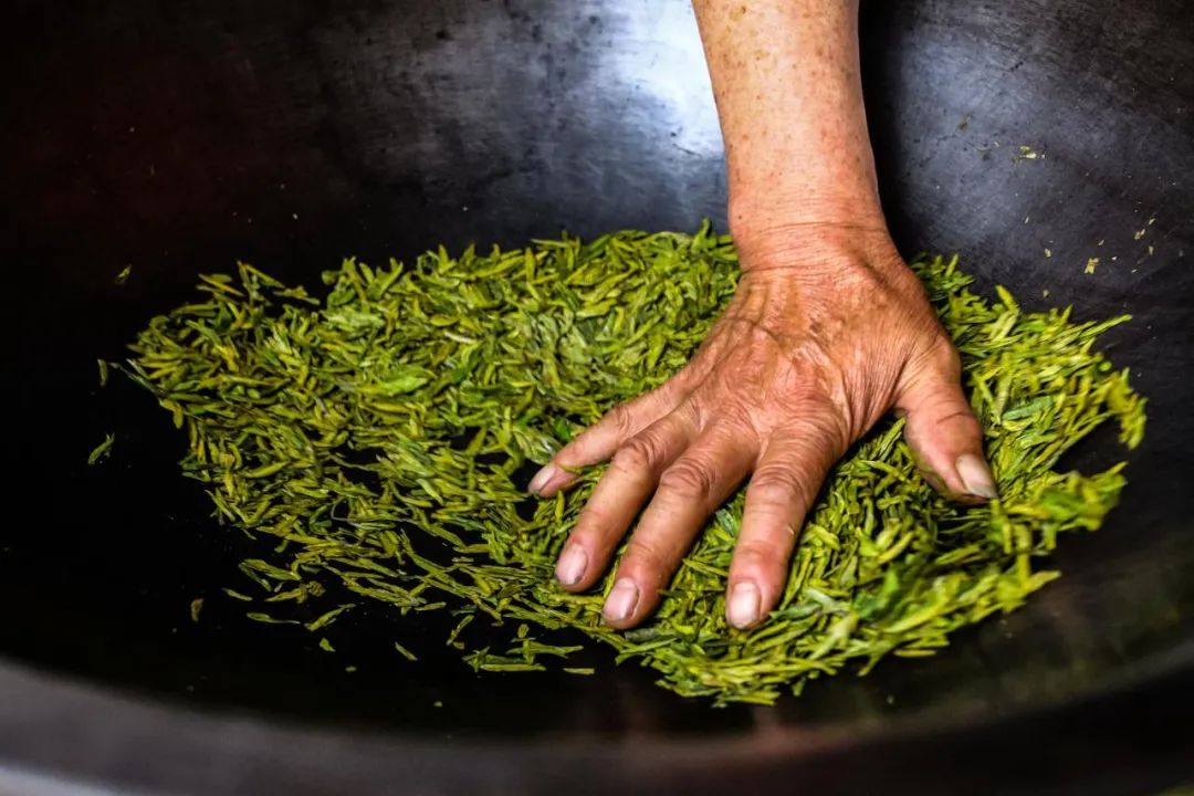 茶多酚会危害胃吗,茶多酚危害研究