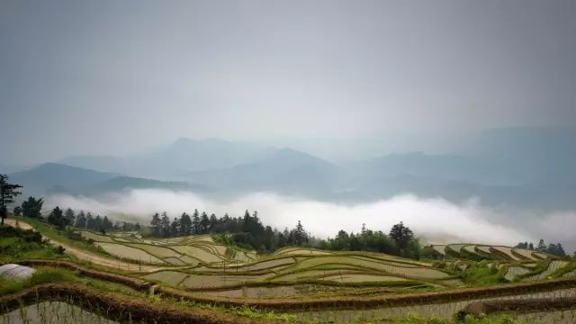 2020最强“广西大全”来了！承包柳州人一整年的旅行