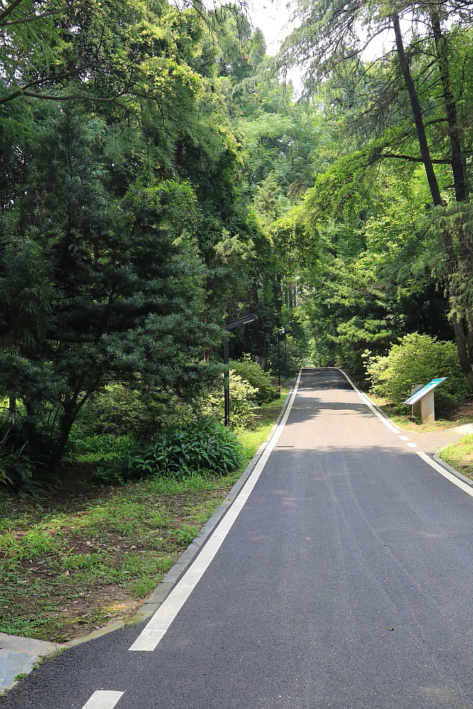 植物园的景；青山吹奏《红河谷》（F调）半音阶口琴演奏第二版