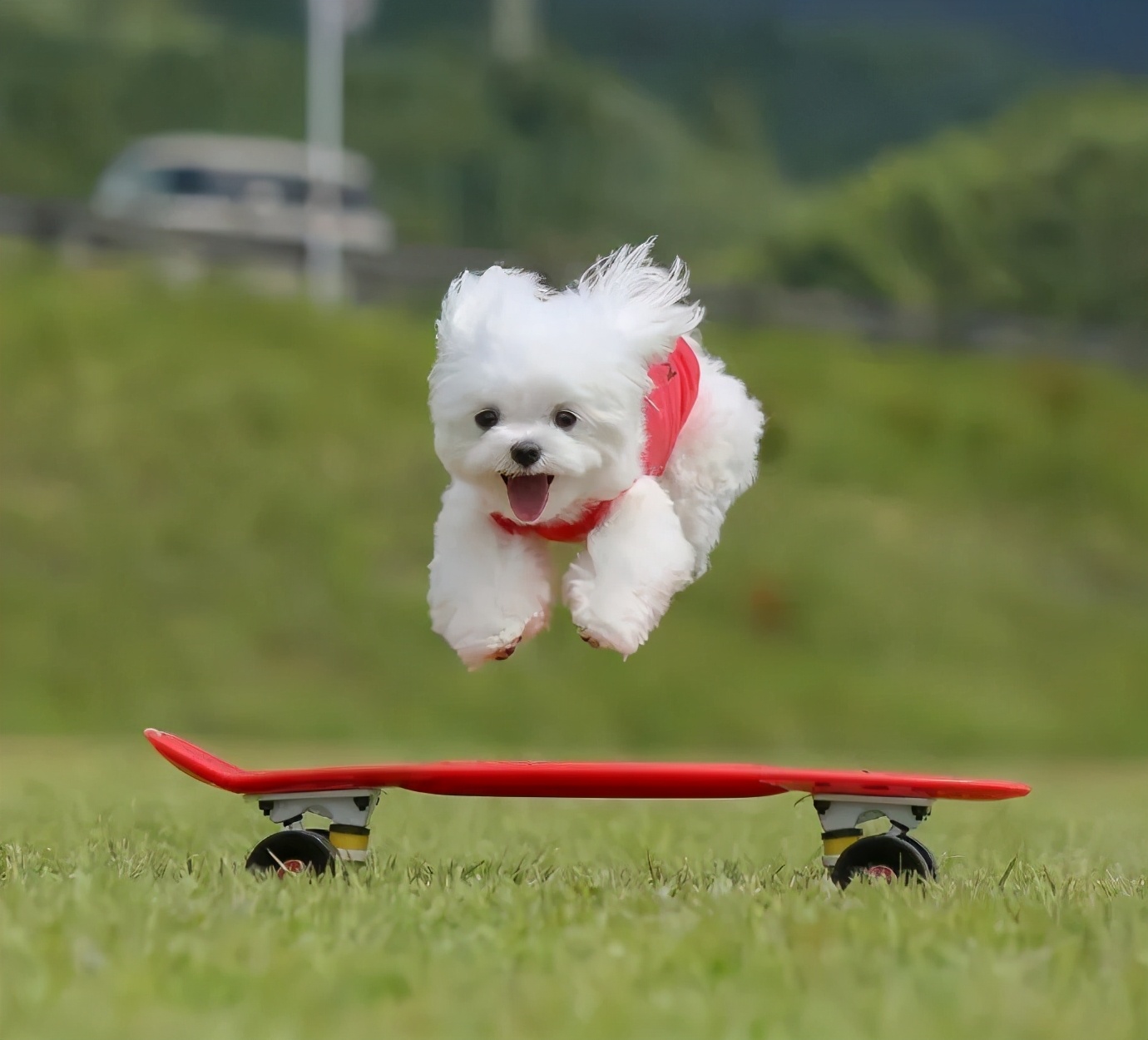 撰稿人手记|所爱隔山海，山海皆可平