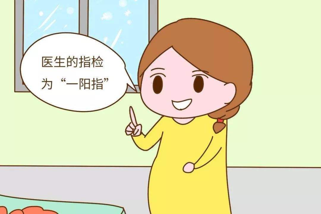 指检能区分直肠息肉与癌吗,直肠指检和肠镜检查哪个好