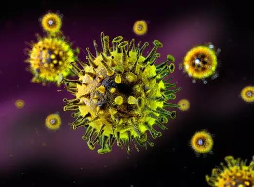 远古病毒噬菌体放大1000倍的样子,最致命的病毒噬菌体