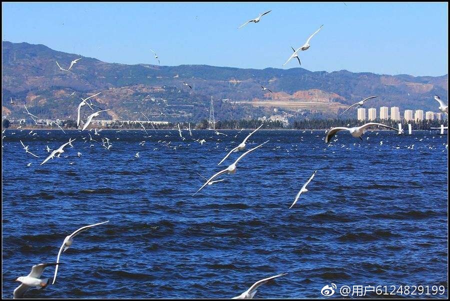 神奇的汉字（读音相同，含义相通82）