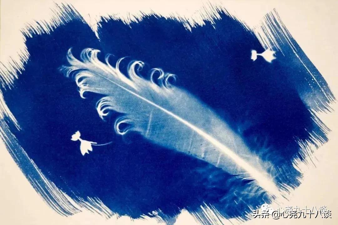 蓝晒，数码时代依旧可用的古老显影技术