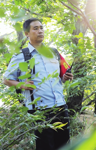 广西护林员要做什么,广西招募护林员