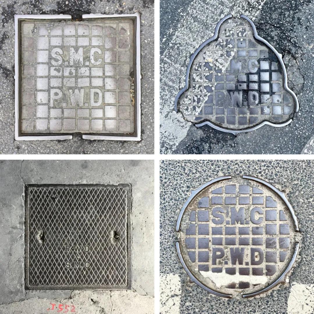 不要错过上海的春天,不要错过上海的夏天