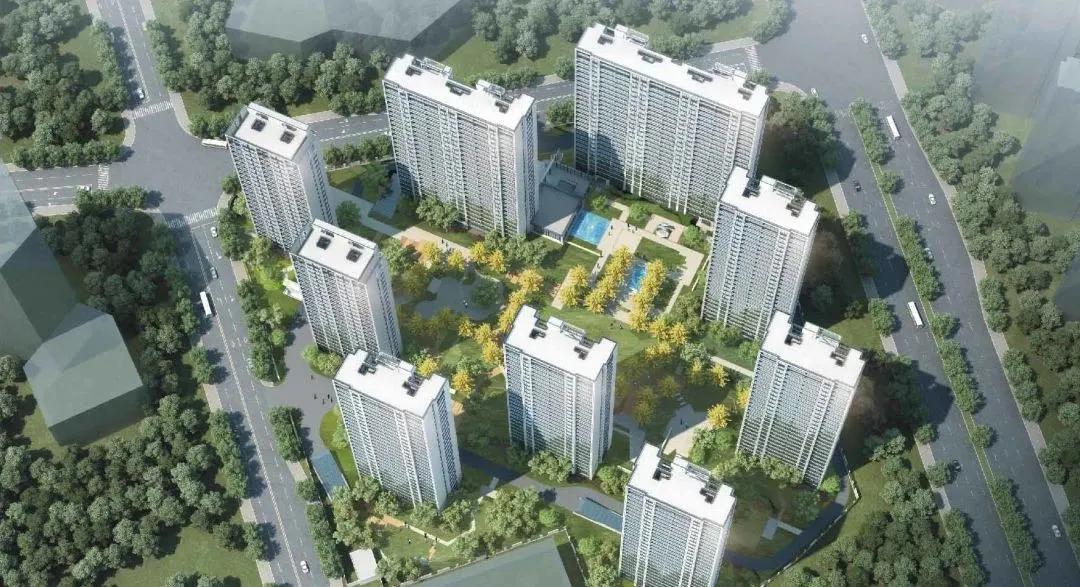 红盘潮落幕！彩虹轩神秘到底，登记公示“难产”