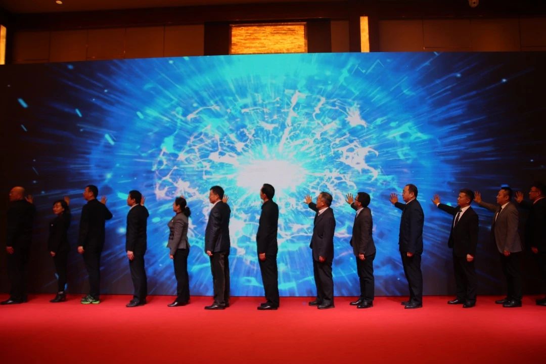 鑿忔辰甯傜綉缁滄柊濯掍綋,鑿忔辰甯傛柊濯掍綋骞冲彴